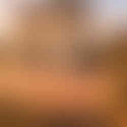 Après travaux – Terrasse en bois sur mesure avec jardinières intégrées en Haute-Loire