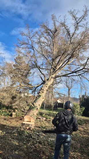 Suppression d'Épicéas Secs : Une Solution Sécurisée et Durable Broyage des branches pour un paillage naturel dans vos massifs Transformation des troncs en plaquettes pour le chauffage - Services de paysagiste à Issoire - Paysagiste David Bergougnoux
