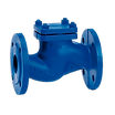 Check Valve