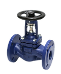 Globe Valve
