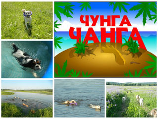 Бронирование мест в летний лагерь "Чунга Чанга"