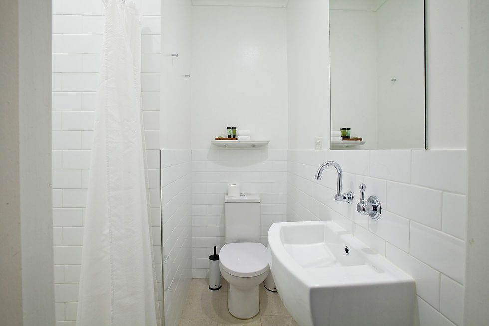 the bathroom (23)