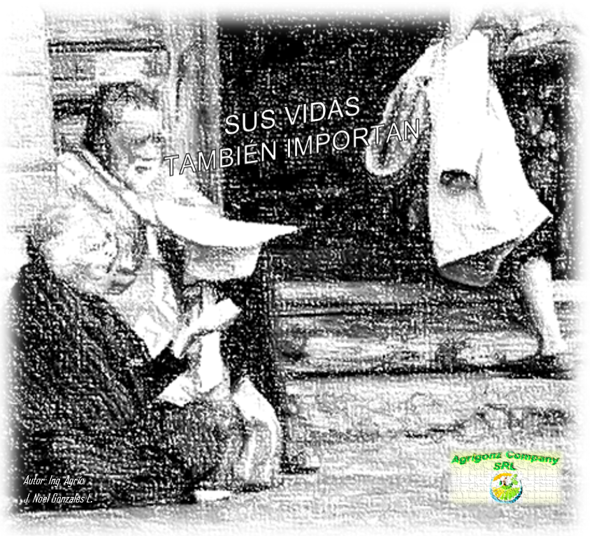 Proyecto : SUS VIDAS TAMBIÉN IMPORTAN