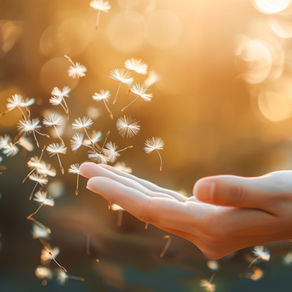 The Call to Surrender: Trusting God’s Plan During Lent
