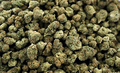 weed wall 1.jpg
