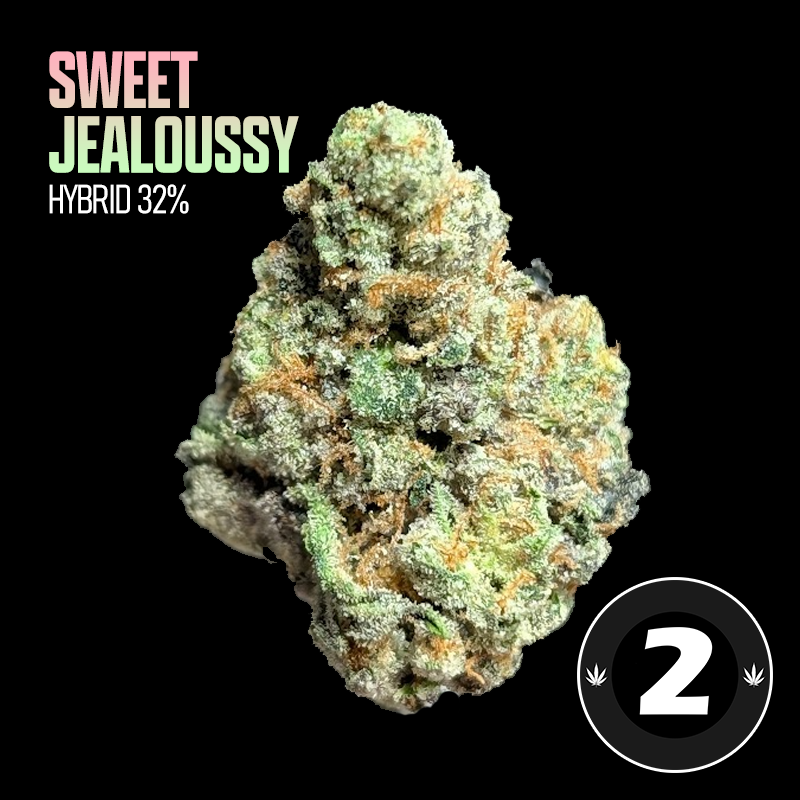 SWEET JEALOUSSY