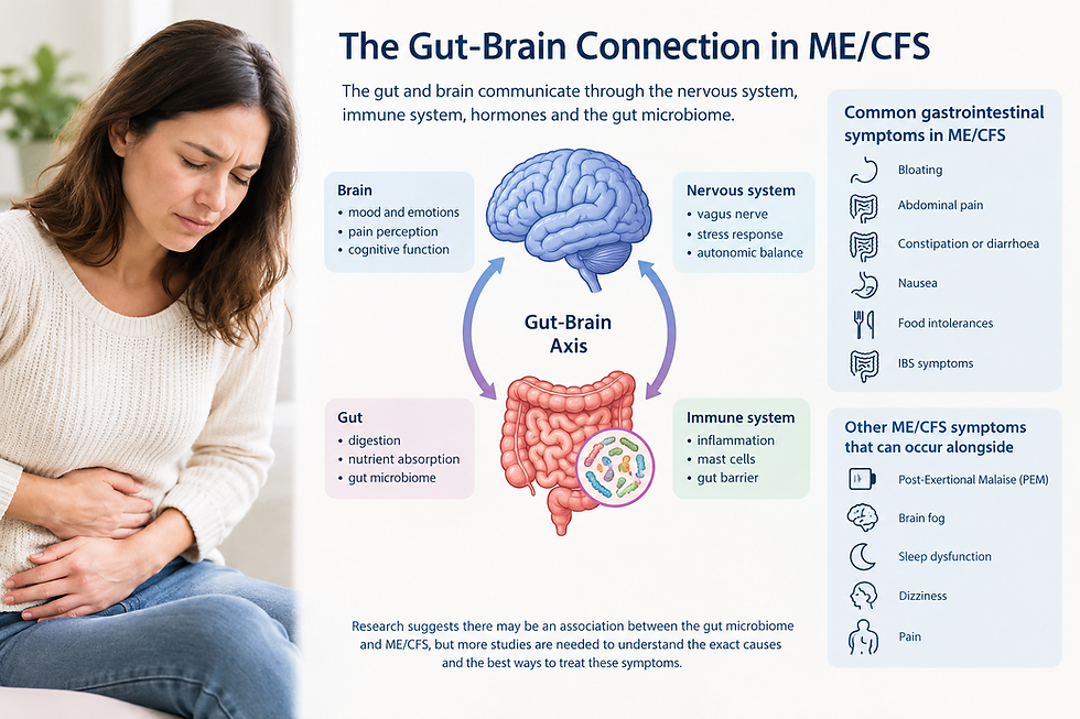 Doctor explains: The gut-brain connection – why ME/CFS can cause food intolerances and IBS symptoms
