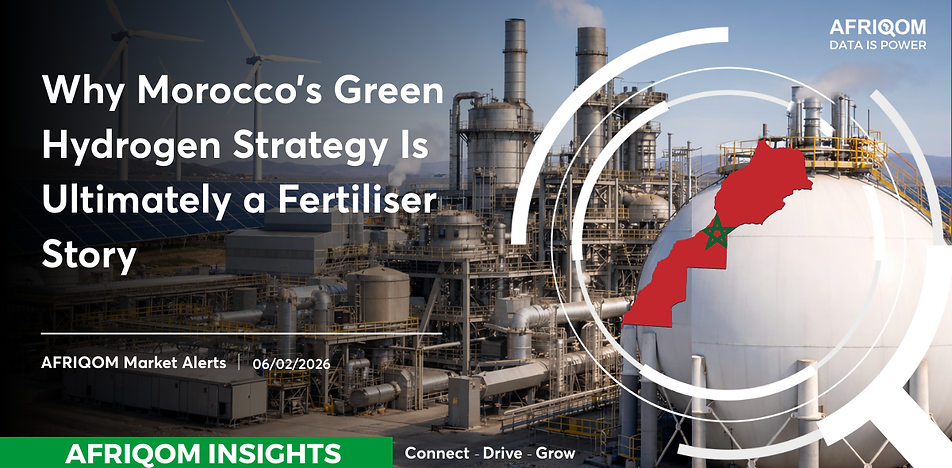 Why Morocco’s Green Hydrogen Strategy Is Ultimately a Fertiliser Story