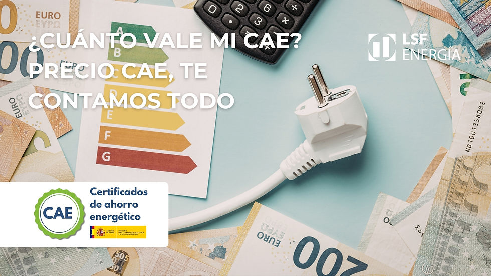 Cuanto vale un CAE, precio del cae
