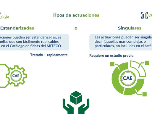 Infografía sobre actuaciones del sistema CAE con fichas estandarizadas y singulares