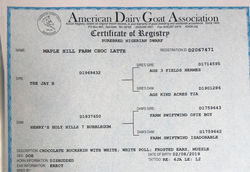 288110729_1003674953675580_1990383532945157693_n.jpg