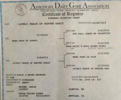 288053795_2303665056449144_5630305383824682614_n.jpg