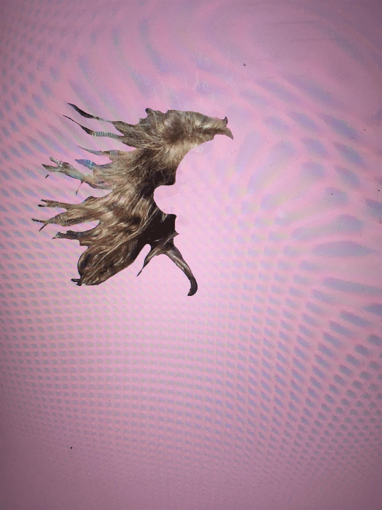 Notting Hill Still Gif