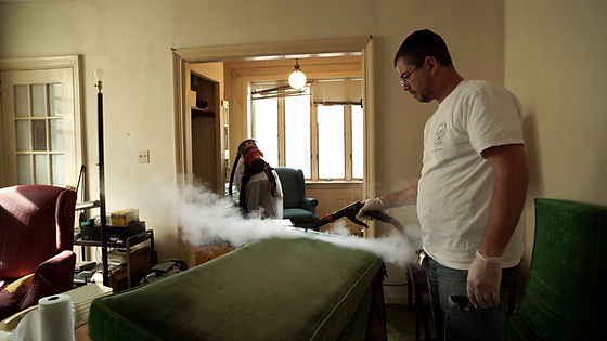 Extermination and bed bug treatment