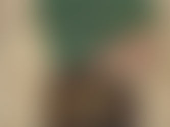 The Green Hat by Michael Arlen (1924)