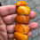 Thumbnail: BUTTERSCOTCH AMBER BRACELET 27.6 GRAM