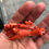 Thumbnail: Antique Chinese Coral statue of a beautiful Bird 33.5 Gram