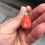 Thumbnail: Beautiful Italian Cameo Coral earnings 12.1 Gram