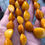 Thumbnail: BUTTERSCOTCH AMBER NECKLACE 40 GRAM