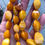 Thumbnail: BUTTERSCOTCH AMBER NECKLACE 40 GRAM