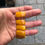 Thumbnail: BUTTERSCOTCH AMBER BRACELET 19.8 GRAM
