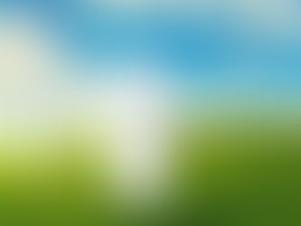 The choice of a preferred future