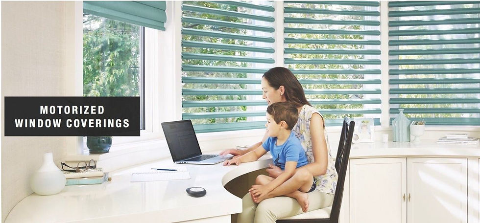 Window Blinds & Shades