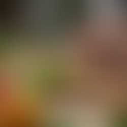 Experiências Autênticas de Viagem pelo Mundo