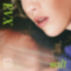 SHN0098_EVX_Salt_3000px.jpg