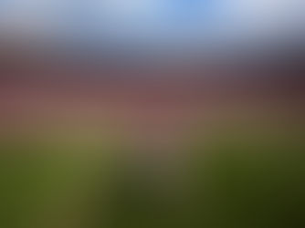 Alabama US college football game with players moving in their trained system.