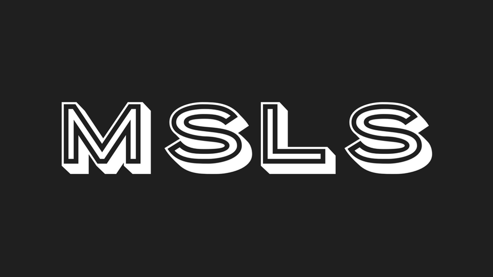 MSLS.PNG