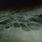 湖氷