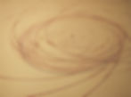 Planet Room