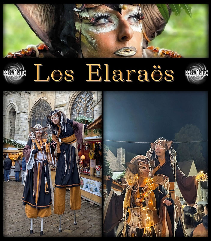 Affiche 2026 FreeVortex Les Elaraes.jpg