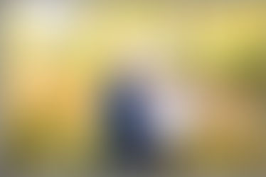 The B Family | Fall Family Photos | Denver Family Photography | Redrock Portrait Design