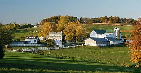 amish 1_edited_edited.png
