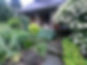 IMG_4665.JPEG