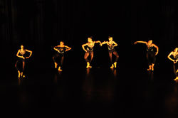 Preto e Amarelo (27)