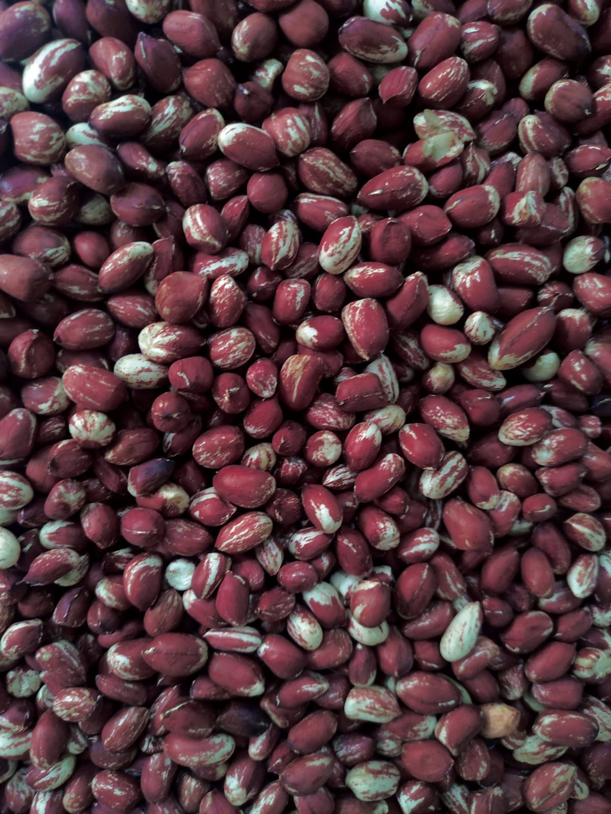 Maní Caramelo