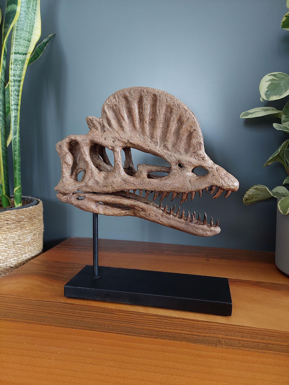 Küçük resim: Dilophosaurus Seramik Heykel