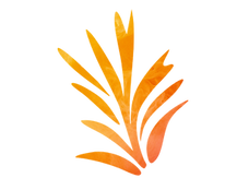rooted icon 1.png
