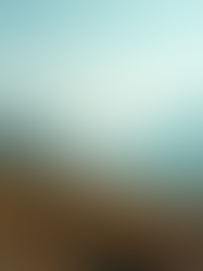 Unlock Your Potential: Hikari's Guide to Personal Growth