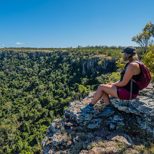 Lord’s Table Mountain – Grasshoppers and Grasslands