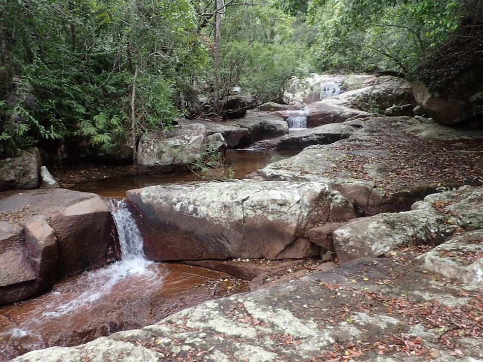 Alligator Creek Above the Falls