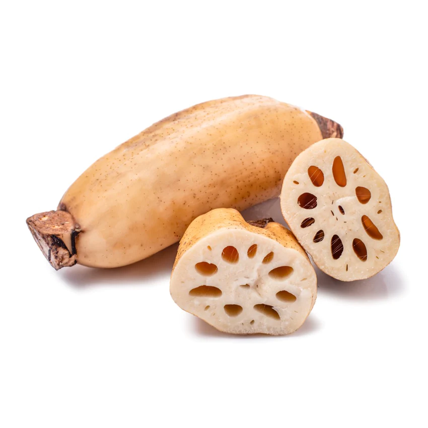 Lotus Root
