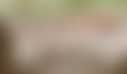 When the Lowcountry Became America’s Private Hunting Preserve