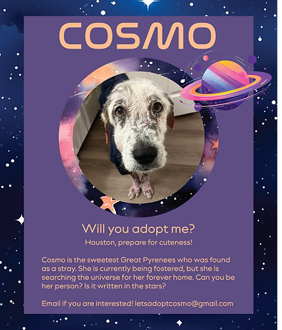 Cosmo Poster.png