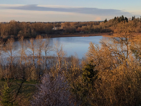 SellwoodParkKW_1.jpeg