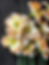 20240329_091531118_iOS.heic