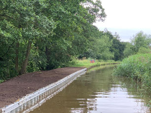 Canal bank and a canal with trees